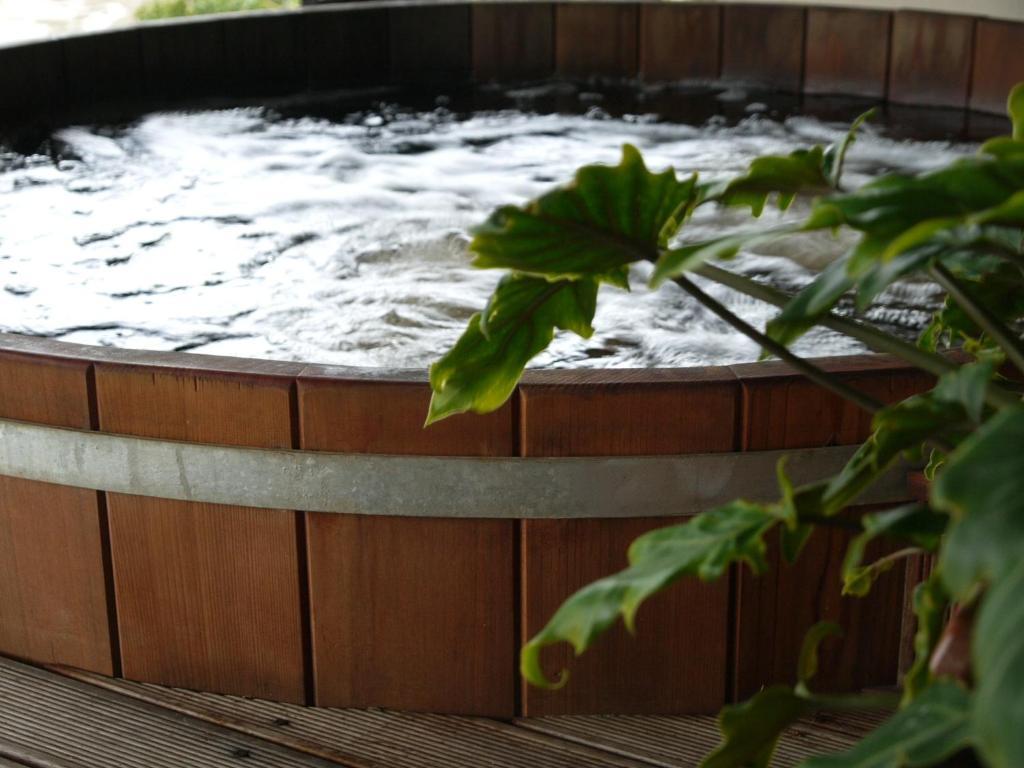 Okiwa Bay Lodge Picton Ngoại thất bức ảnh